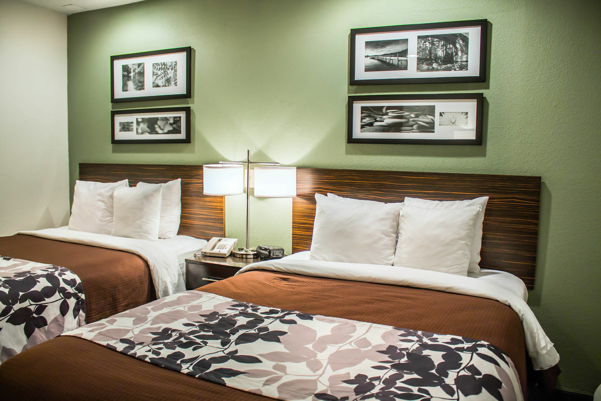 סאמרסוויל Sleep Inn מראה חיצוני תמונה